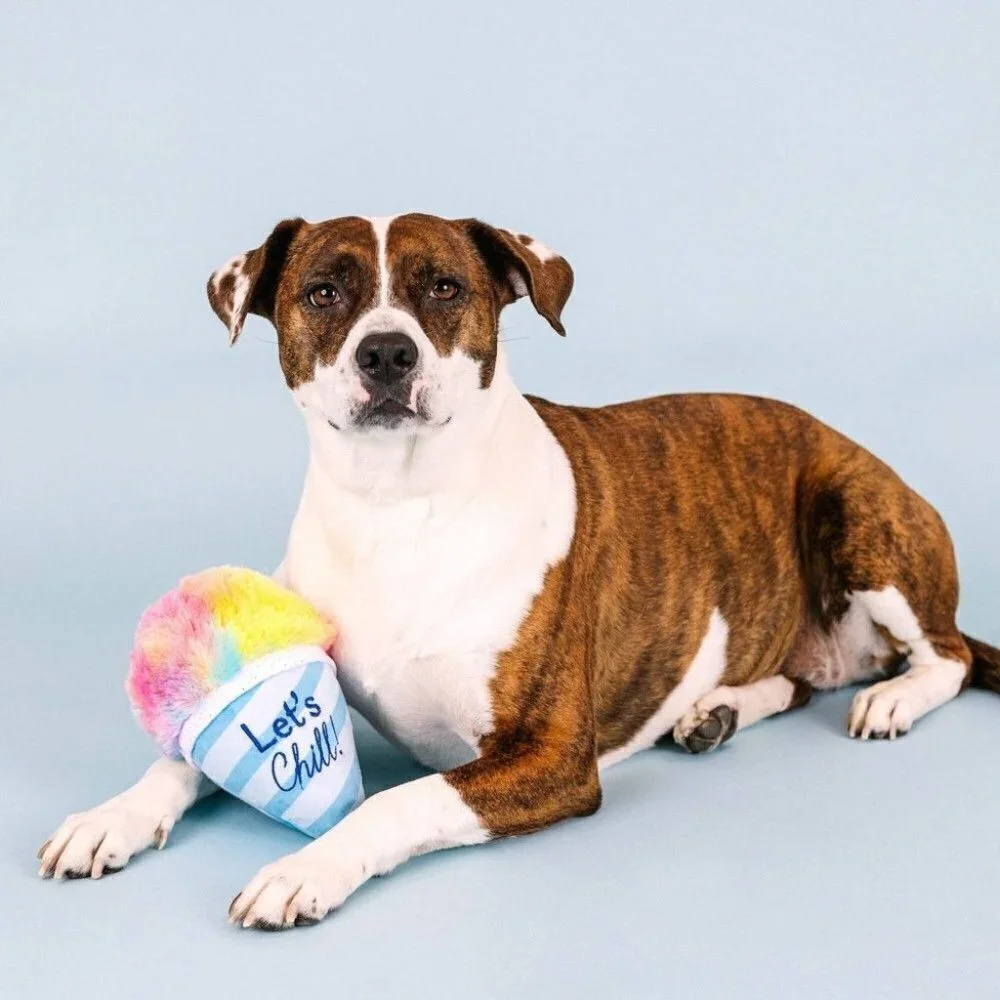 Let's Chill Snow Cone Plush Dog Toy | PetShop by Fringe Studio |